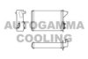 AUTOGAMMA 101667 Heat Exchanger, interior heating